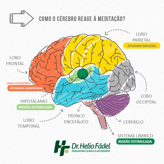 1 Como o c&eacute;rebro reage &agrave; medita&ccedil;&atilde;o - Artigos